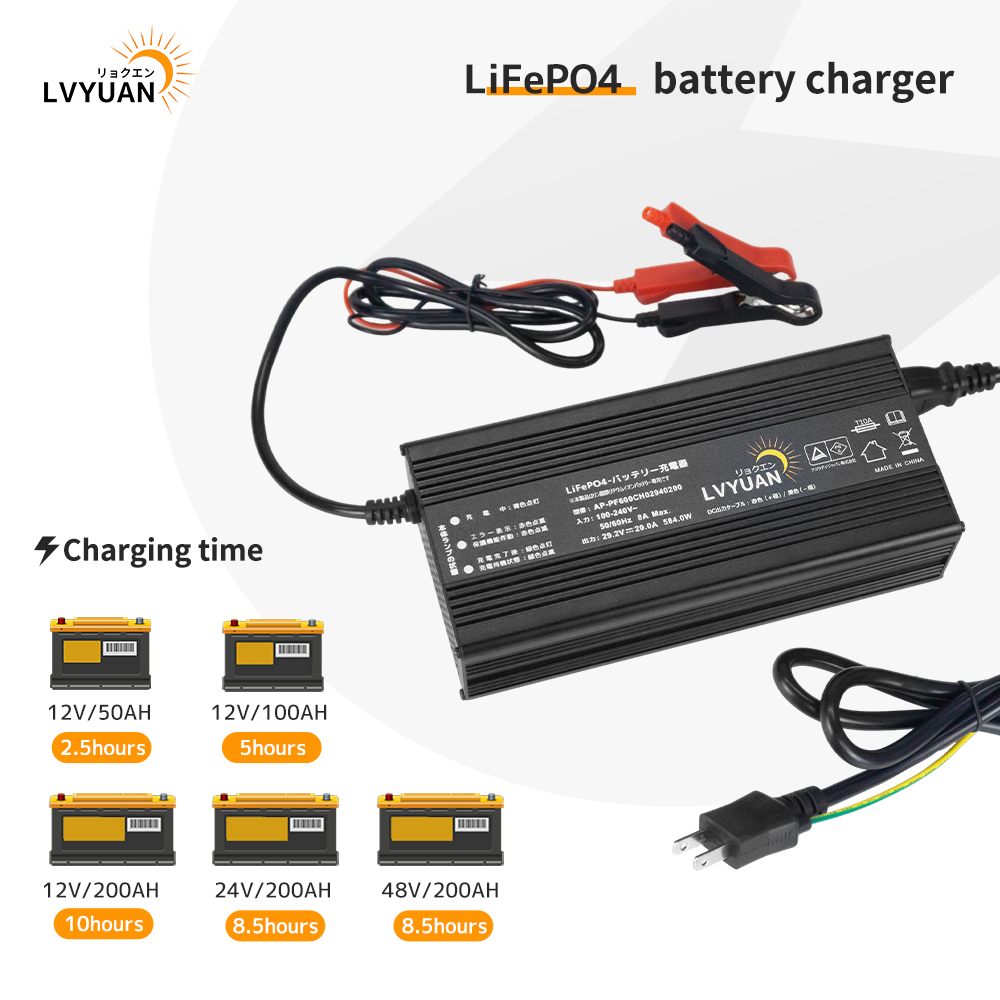 Lvyuan 500W 220V AC to DC 12V  - Lithium Battery 12V review and price