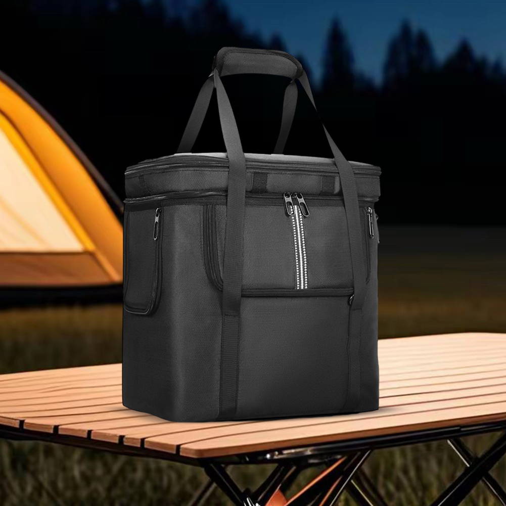 Carrying Case for BLUETTI Port - Portable Power Station review and price